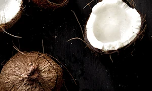 20140115 ss coconut 091 jpeg