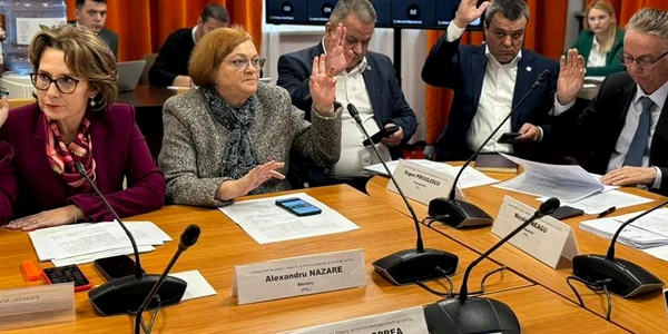 comisii senat PNL Facebook jpg