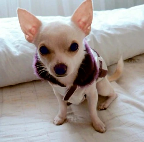 1f5717d373e7e030205e179d98de923a jpg jpeg