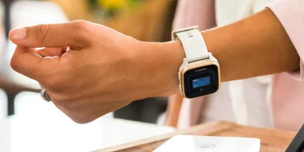 Garmin Pay png