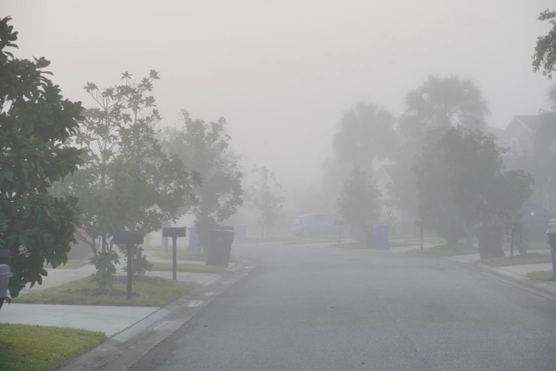 Locuitorii din Florida s-au plâns de o ceață nenaturală FOTO SHUTTERSTOCK
