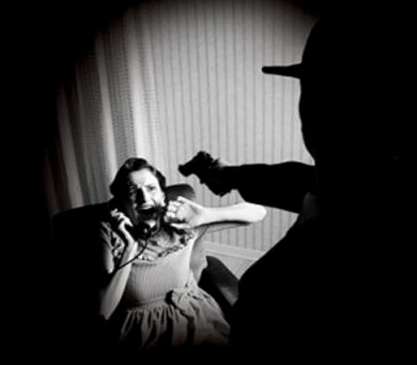 Maestră în arta suspansului, Rodica Ojog Braşoveanu a publicat 35 de romane poliţiste FOTO libris.ro