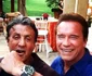 Arnold Schwarzenegger Sylvester Stallone (10) jpeg