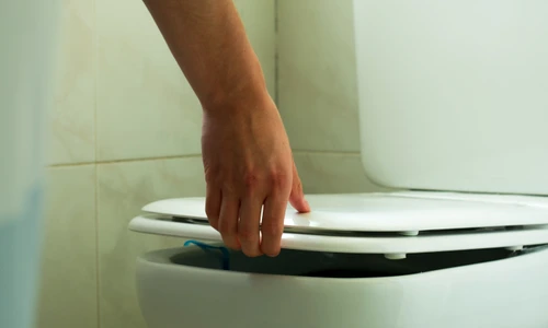 shutterstock 1735146446 jpg