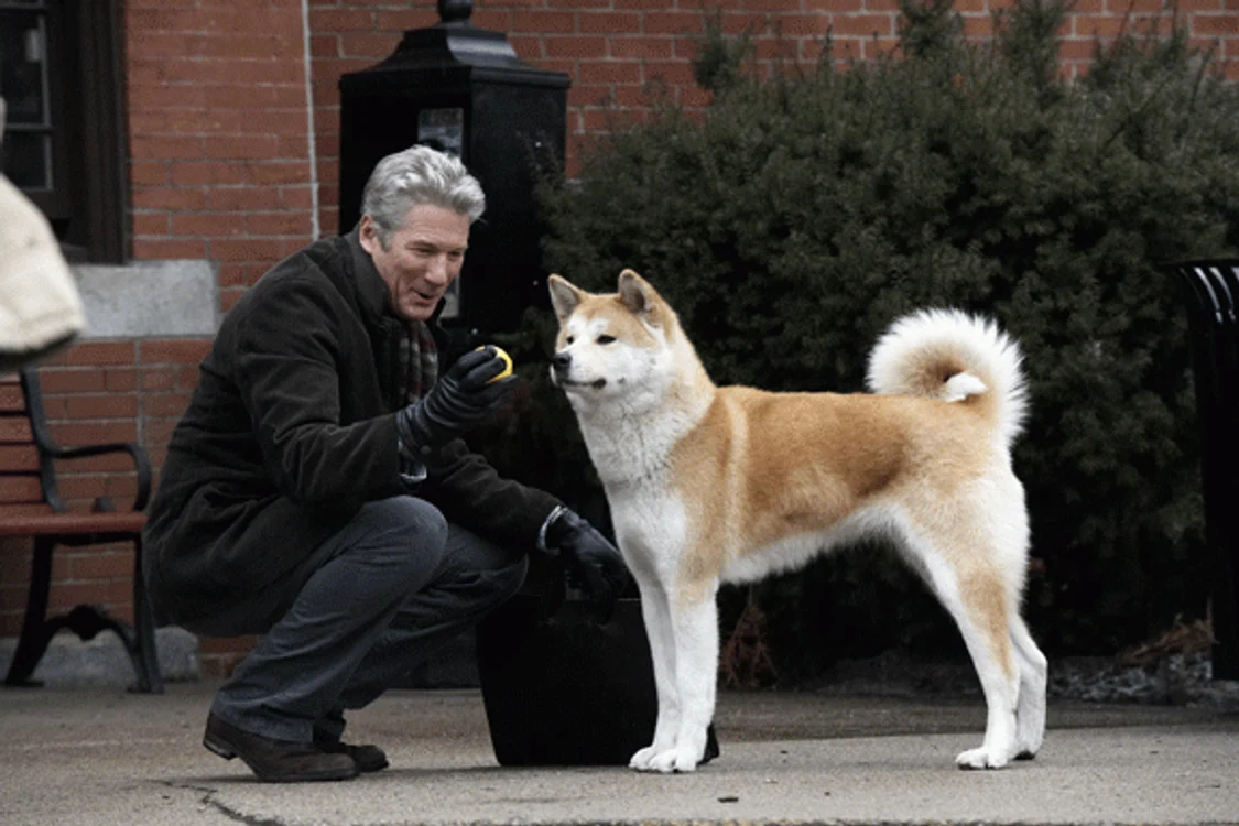 Povestea lui Hachiko a inspirat realizarea unui film FOTO Adevărul