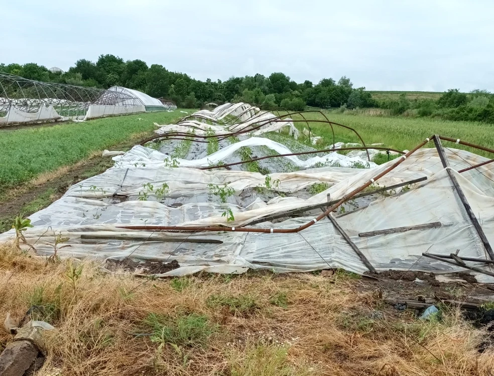 Legumicultorilor le-au fost puse solariile la pământ FOTO: Uniunea Salvaţi Ţăranul Român