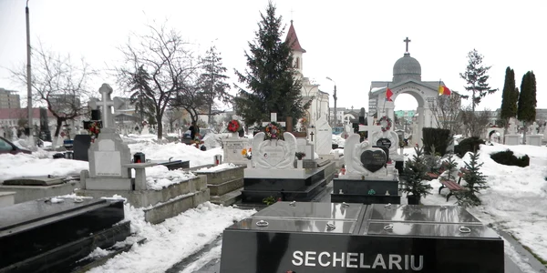 cavou sechelariu