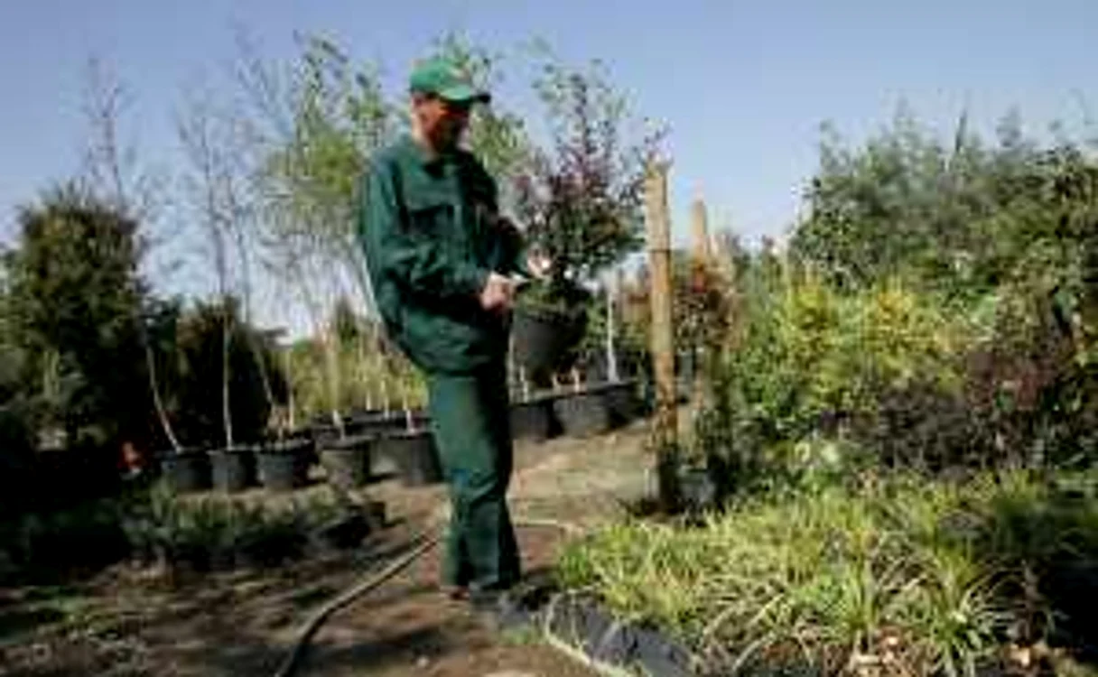 Cultivarea plantelelor de grădină poate fi o afacere care să primească finanţare