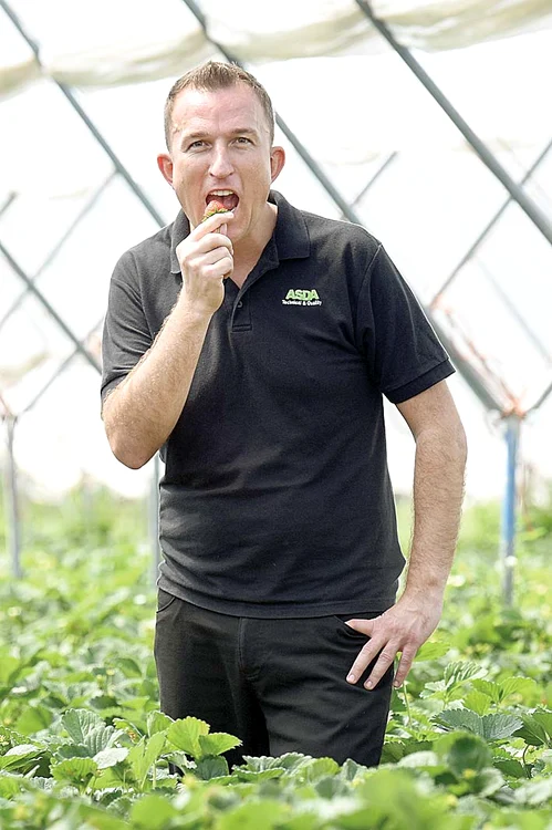 Britanicul Artur Grochala este angajat pentru a testa fructele care se vând într-un lanţ de supermarketuri