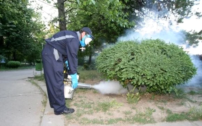 Bucureştenii rău-platnici vor îngriji spaţiile verzi