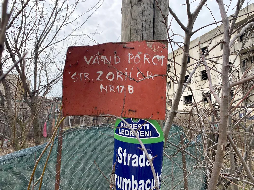 © M.Pleșu