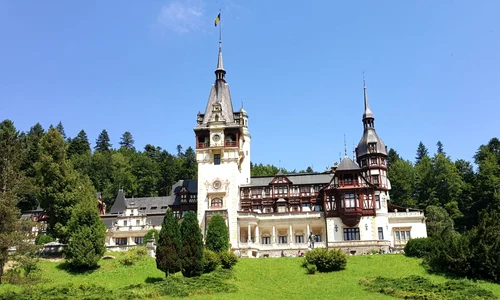 Poveşti ascunse în comunism: cum a reuşit o ciupercă din lemnăria Castelului Peleş să l facă pe Ceauşescu să renunţe la impresionanta construcţie jpeg