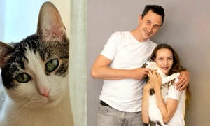 Misu a inspirat afacerea a doi ieseni, foto Facebook jpg