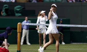 halep simona wimbledon 2019 epa efe h 55312643 jpeg