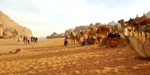 wadi rum