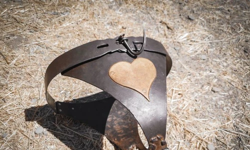 1 shutterstock 1169354554 jpg jpeg