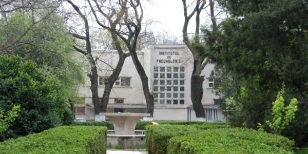 nasta