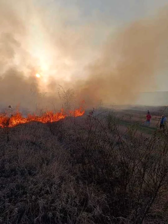 Pompierii s-au luptat aproape șapte ore cu flăcările FOTO ISU Vaslui