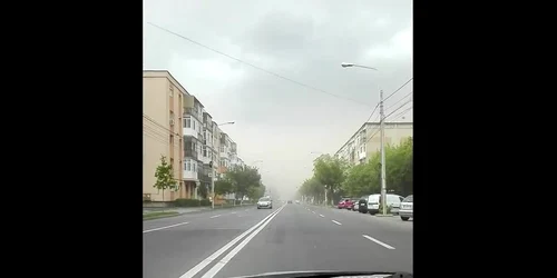 5b0be1eedf52022f757f3b71 jpg