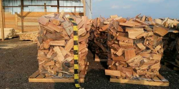 slobozia lemne foto ipj ialomita