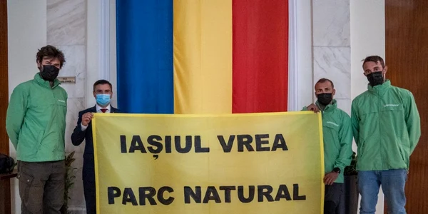 codrii iaşilor