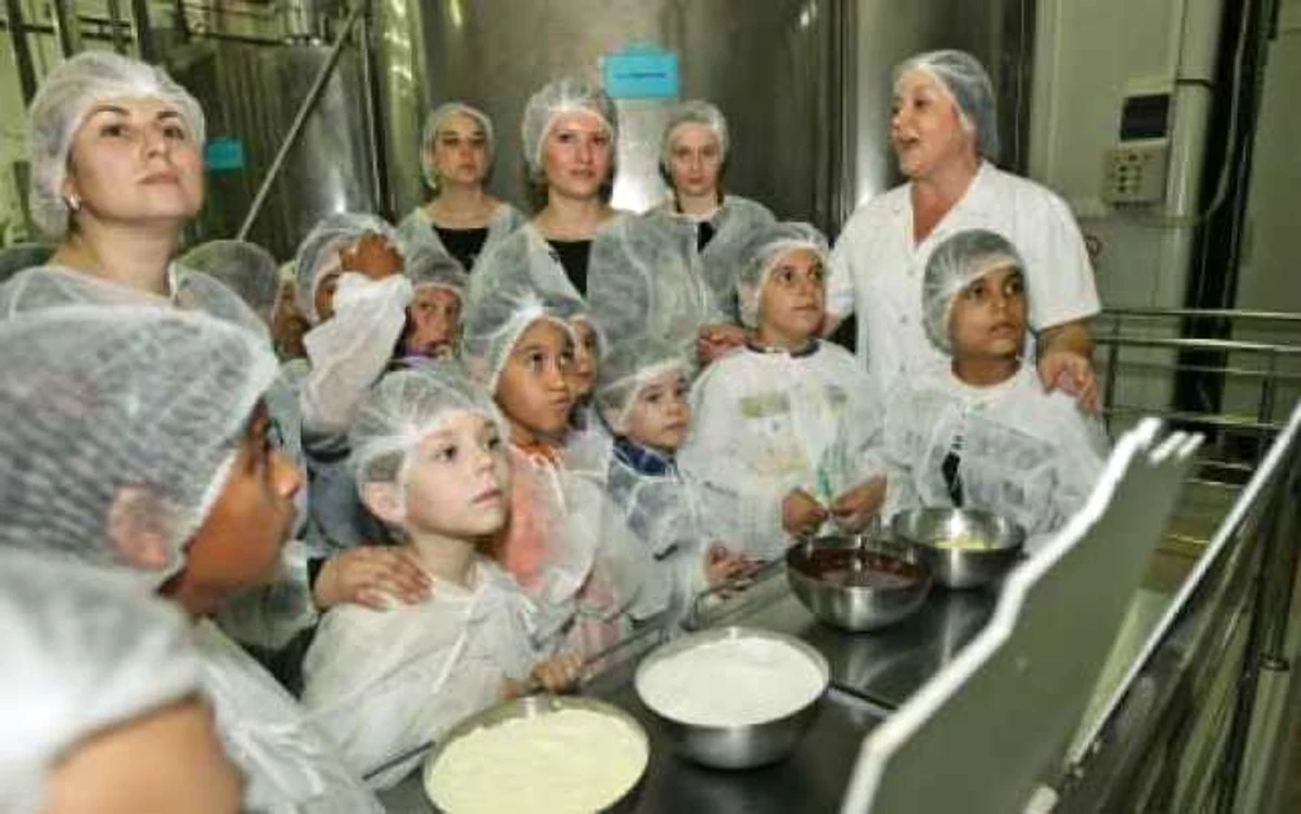 Zona în care se aleg ingredientele
