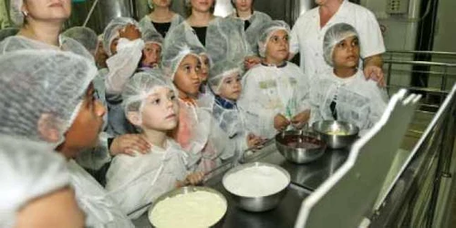 Zona în care se aleg ingredientele