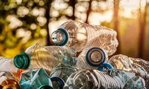 shutterstock 2487934071 jpg