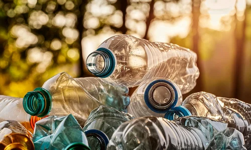 shutterstock 2487934071 jpg