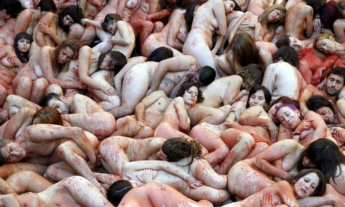 animale jpeg