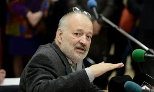 stelian tanase demis jpeg