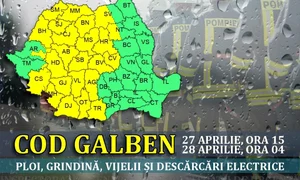 ploi jpeg