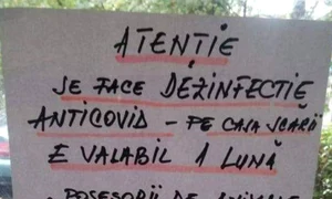 Cu ochii n 3,14 jpeg