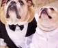 John Legend Chrissy Tiegen Puddy 10 jpeg