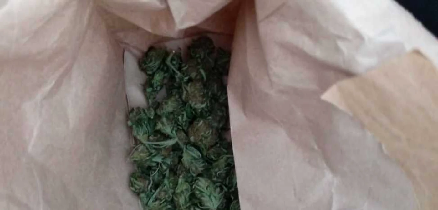 Imagine cu o parte din cannabisul confiscat  FOTO: Poliţia Română