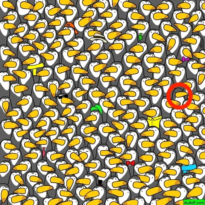 Rezolvarea provocării / foto: Dudolf