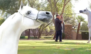 banner el jahez png