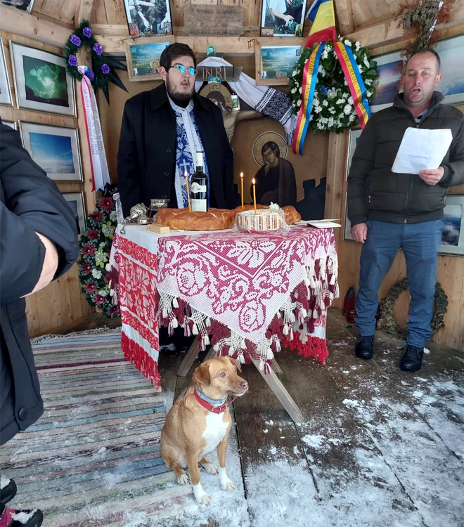 Albert a mers în Apuseni însoțit de câinele lui, Maple