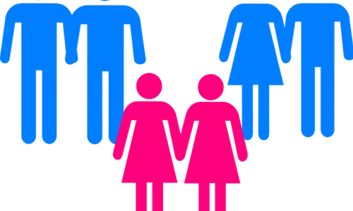 parteneriatul civil proiect de lege uniune consensuala intre persoane de acelasi sex sau desexuri diferite png