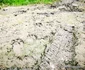 Petroșani Zonele unde au apărut urși Foto Daniel Guță (21) jpg