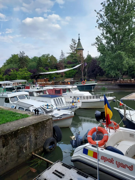 Activitate pe Bega FOTO Siky Marko