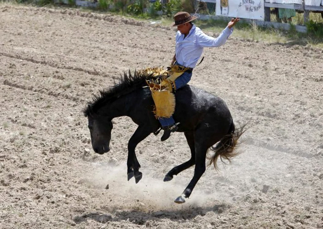 Cel mai mare rodeo din lume dă premii de 2 milioane de dolari (REUTERS)