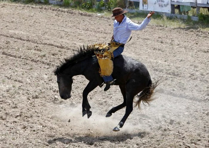 Cel mai mare rodeo din lume dă premii de 2 milioane de dolari (REUTERS)
