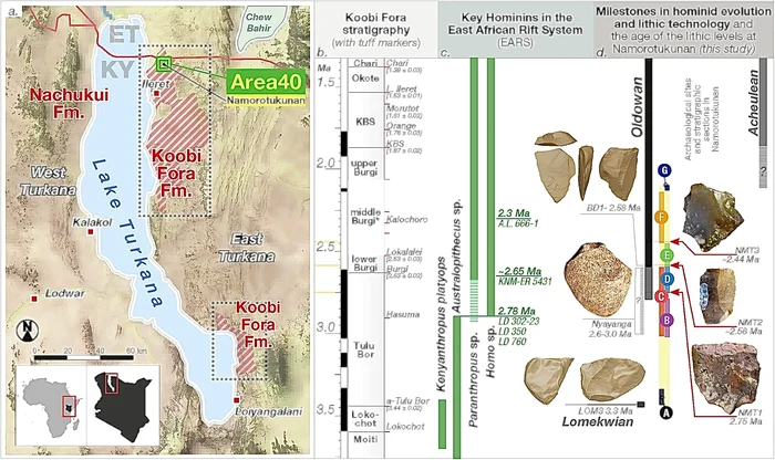 Harta descoperirii. Foto: Nature Communications