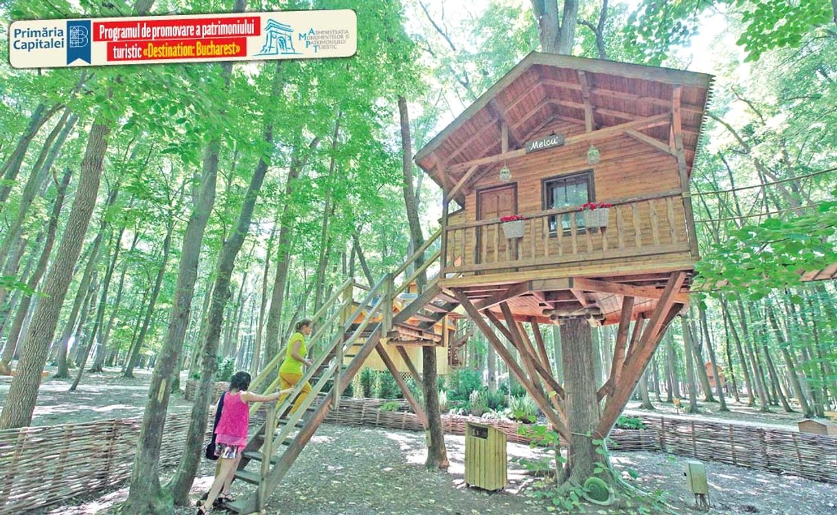 Căsuțele în copaci, o atracţie la Edenland