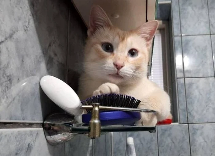 Pe unii, perioada aceasta grea și ciudată ne-a făcut mai buni, mai sensibili, mai altruiștiFoto: Shutterstock