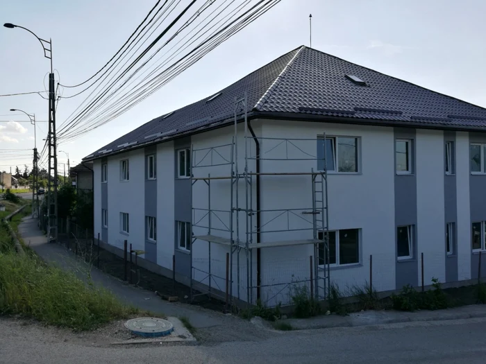 cluj pata rat romni. foto remus florescu