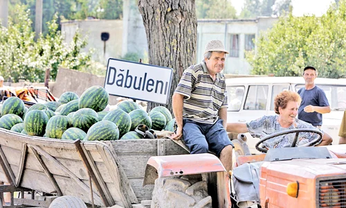 Producătorii se întorc cu buzunarele goale, după o zi de stat în piaţă jpeg