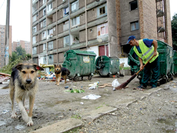 Hunedoara: Hunedorenii, mobilizaţi împotriva haitelor