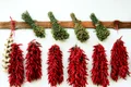 dried herbs 748418 640 jpeg